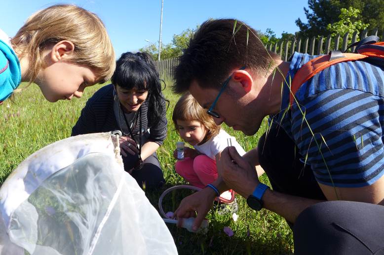 Participants guided by an entomologist from the Museum of Natural Sciences of Barcelona